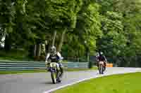 cadwell-no-limits-trackday;cadwell-park;cadwell-park-photographs;cadwell-trackday-photographs;enduro-digital-images;event-digital-images;eventdigitalimages;no-limits-trackdays;peter-wileman-photography;racing-digital-images;trackday-digital-images;trackday-photos